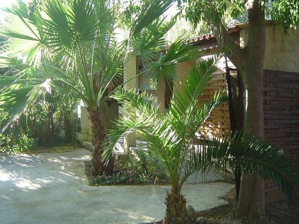 183 D35 PARC OLBIUS RIQUIER A HYERES_000010.jpg